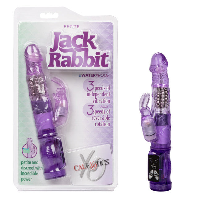 Petite Jack Rabbit