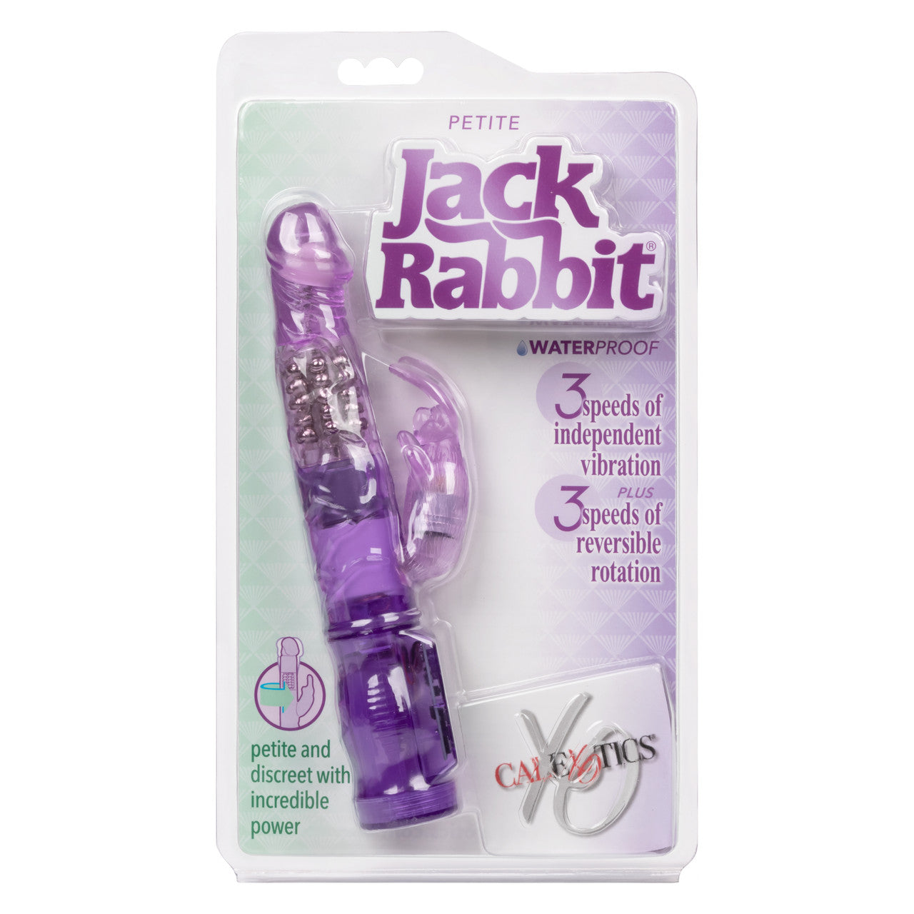 Petite Jack Rabbit