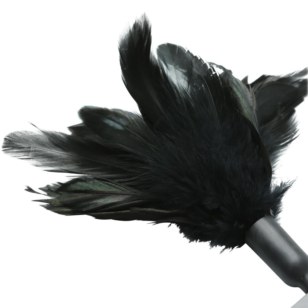 Starburst Feather