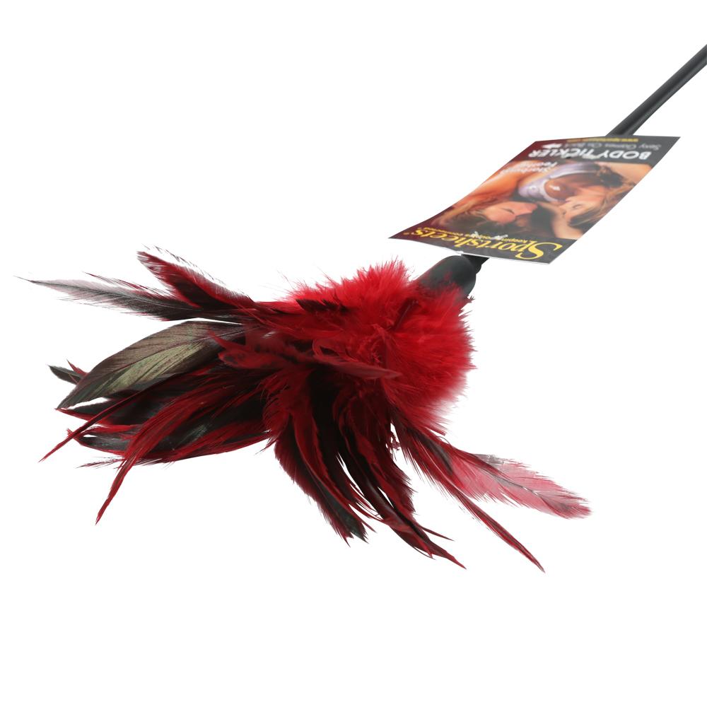 Starburst Feather