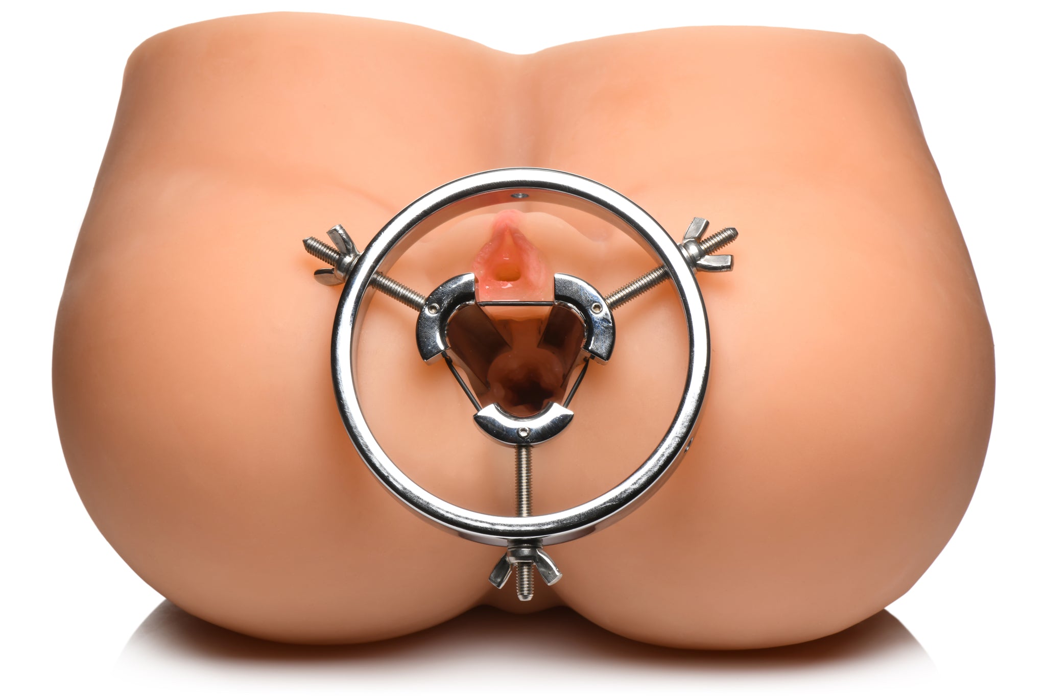 Master Series Forced Spread Stainless Steel Anal Explorer